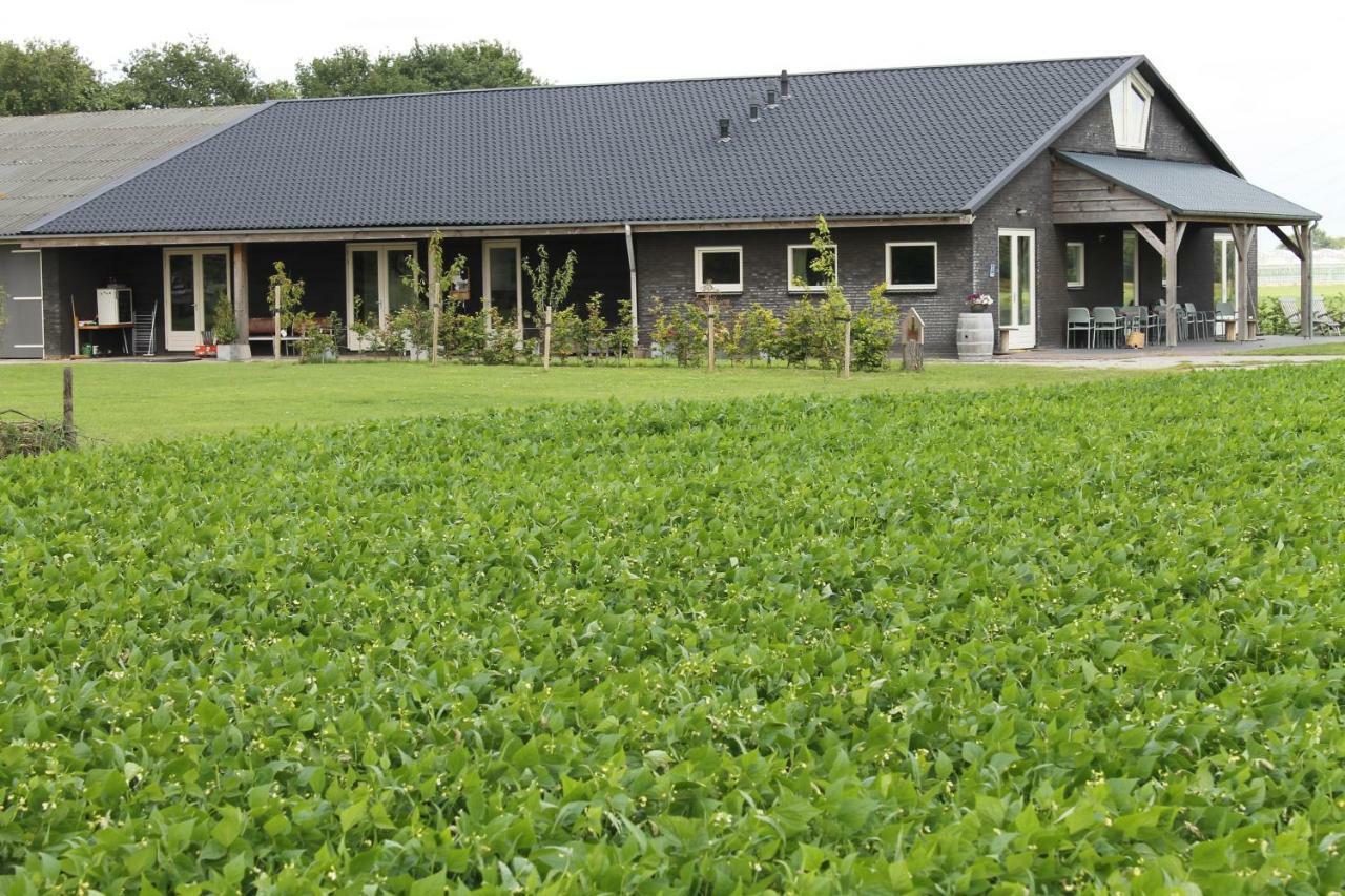Munnickenheide Buitengewoon Overnachten Terheijden Exterior foto